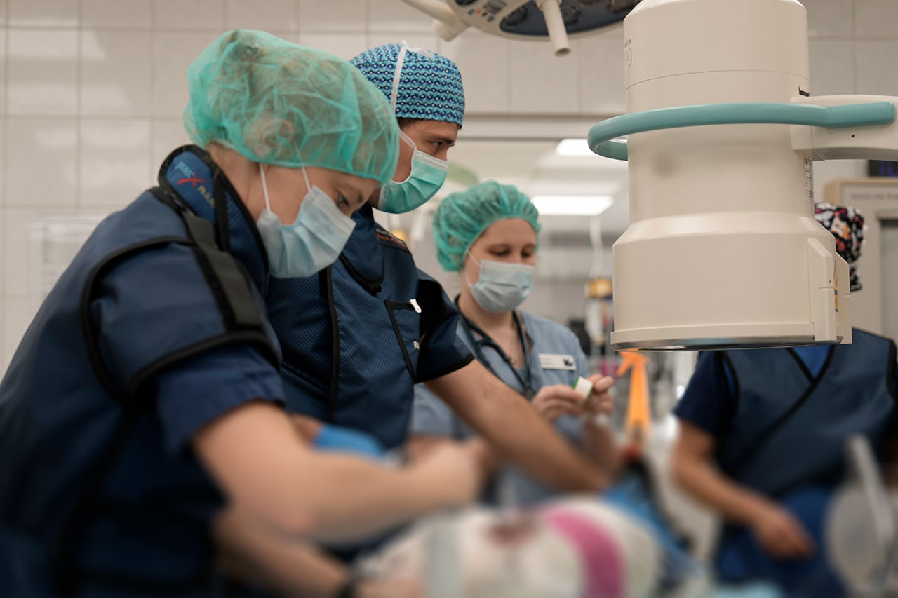 Vorbereitung, Teamarbeit